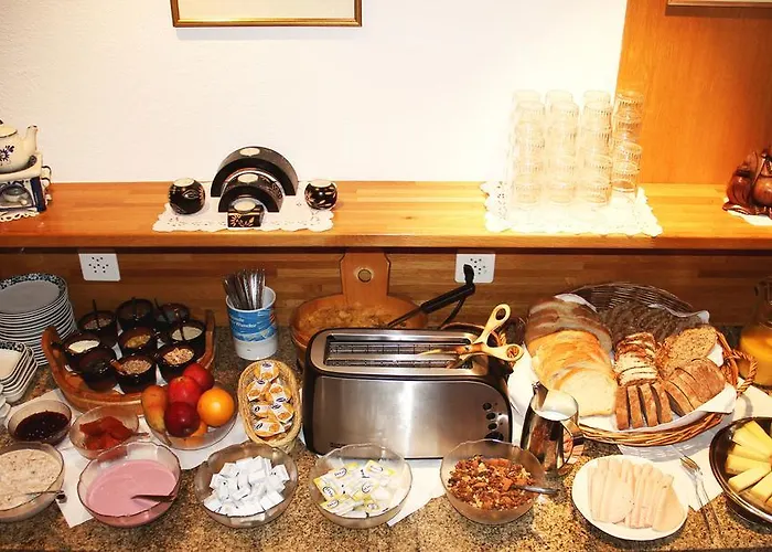 酒店 Elli 达沃斯