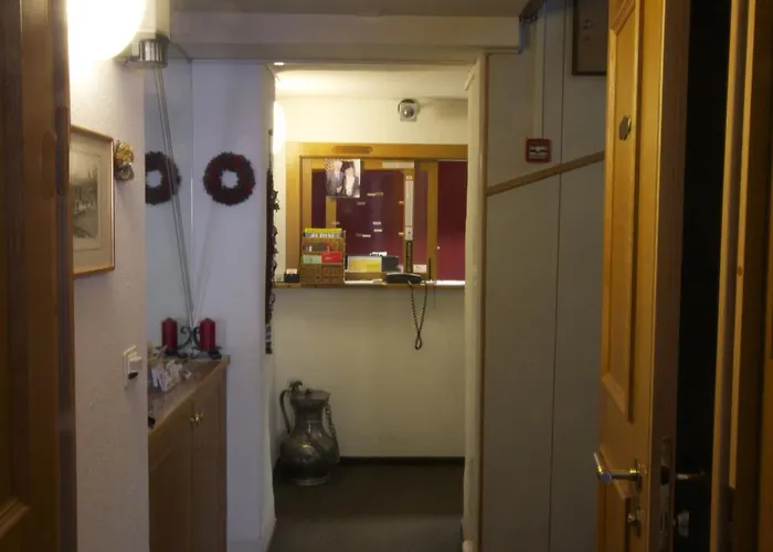 Elli ホテル ダヴォス・プラッツ