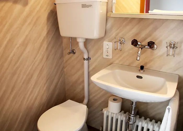 ホテル Elli ダヴォス・プラッツ